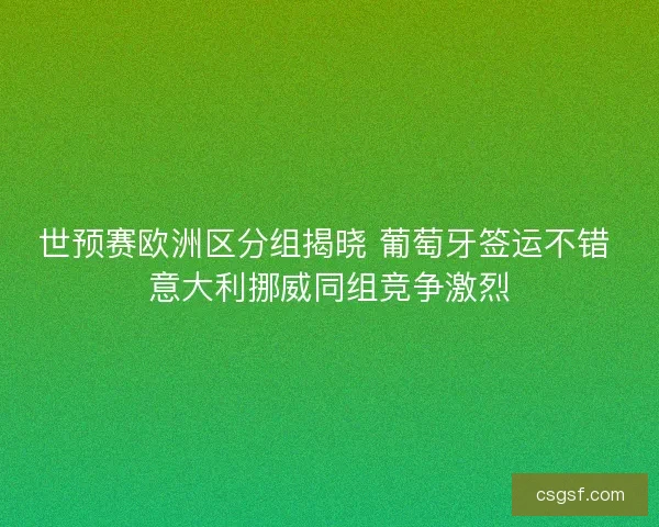 世预赛欧洲区分组揭晓 葡萄牙签运不错 意大利挪威同组竞争激烈